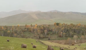 Как Солонешенский район охватила осень.