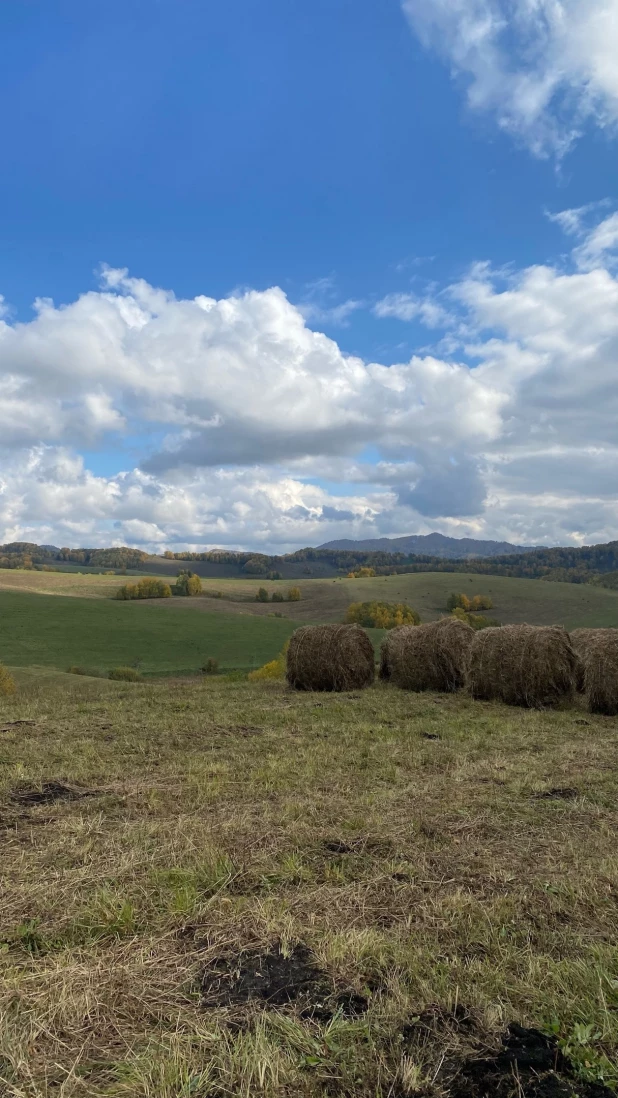 Осень на Алтае.