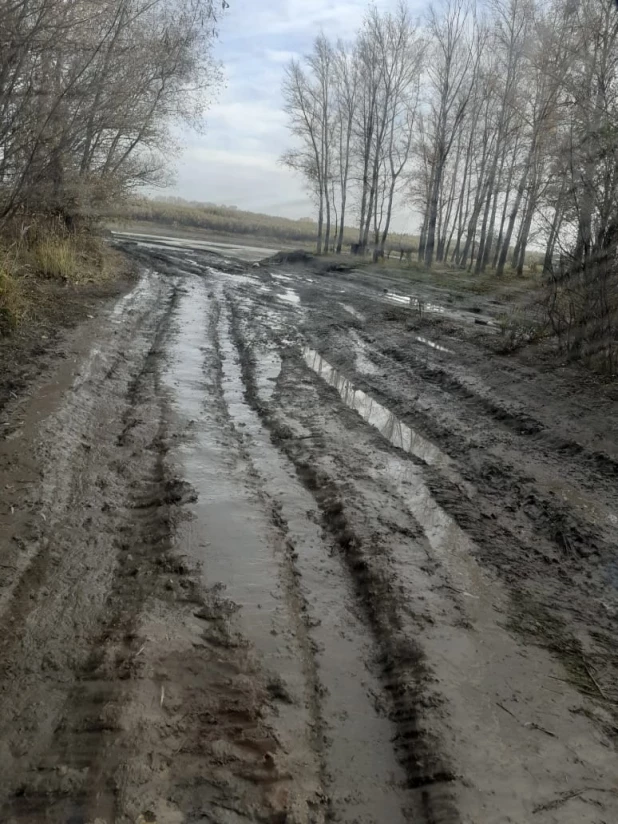 Прорвало дамбу в Шелаболихе