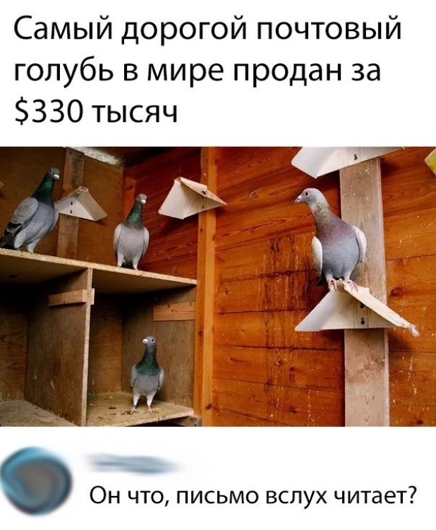 Мемы про почту 