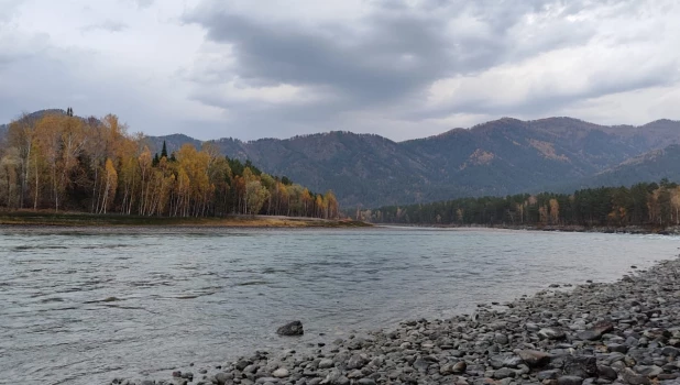 Осенняя Катунь.