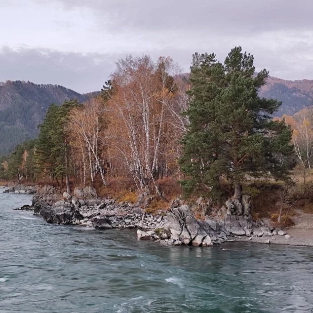 Осенняя Катунь.