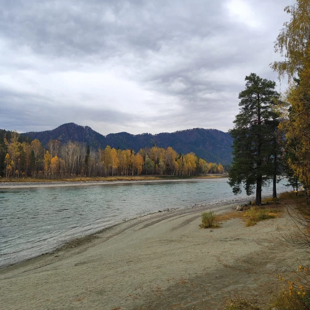 Осенняя Катунь.