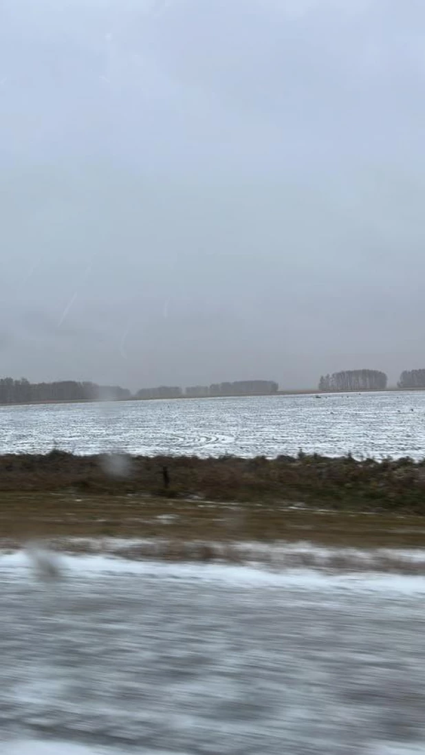 На трассе Новосибирск — Омск вовсю идет снег.