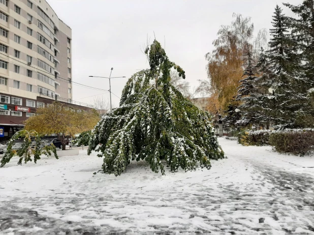 Последствия ледяного дождя.