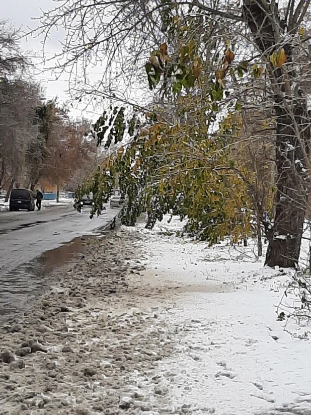 Последствия ледяного дождя.