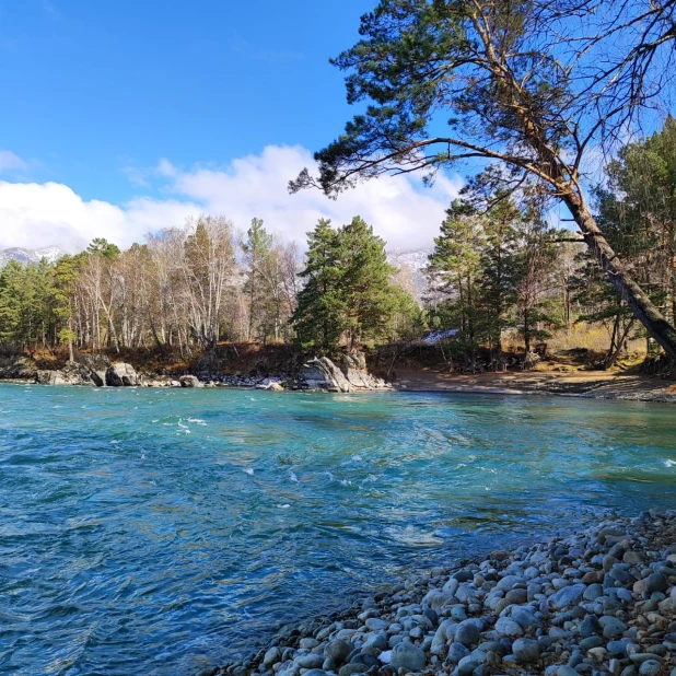 Катунь осенью.