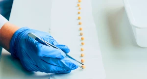 Исследование семян