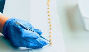 Исследование семян