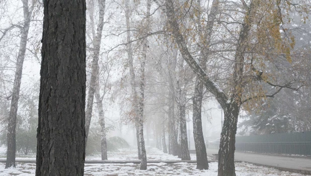 Туманная неделя в Барнауле, 2024.