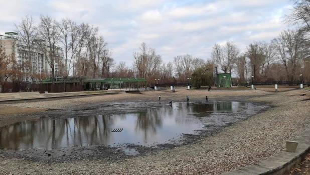 Пруд в Изумрудном после откачки воды.