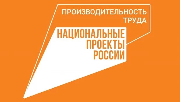 Национальные проекты России «Производительность труда».