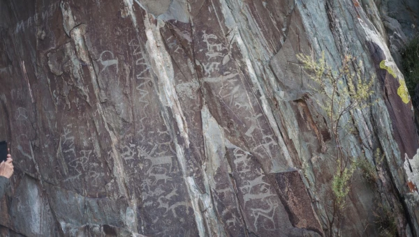 Петроглифы, Республика Алтай.