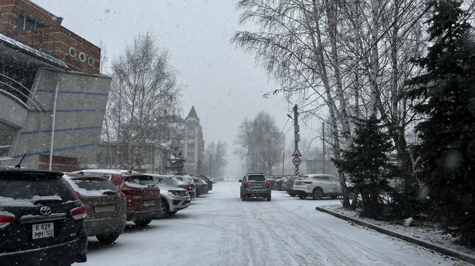 Метель в Барнауле 8 ноября. 