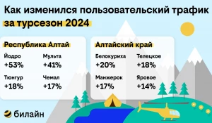 Результаты проведённого билайн исследования.