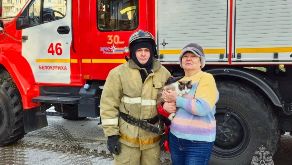 На Алтае спасли кота, четыре дня просидевшего на дереве.