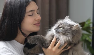 Домашний питомцы.