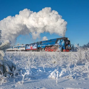 Поезд Деда Мороза.