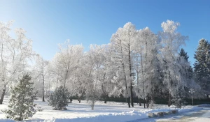 Барнаул сказочный.