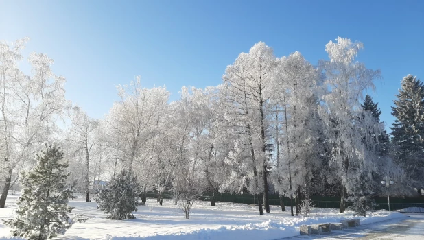 Барнаул сказочный.