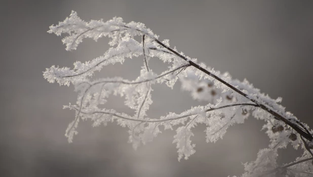 Красивый снег на острове Побочень, Барнаул.