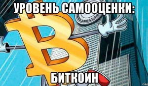 Самые прибыльные мемы про биткоин. Подборка

