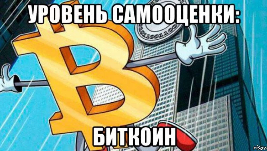 Самые прибыльные мемы про биткоин. Подборка

