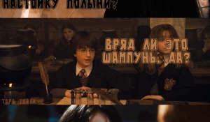 Самые волшебные мемы про Гарри Поттера. Подборка