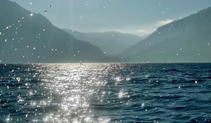 Телецкое озеро.