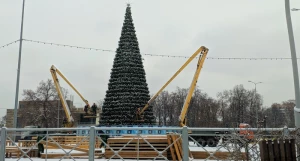 Самые новогодние мемы про елки. Подборка