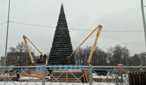 Самые новогодние мемы про елки. Подборка