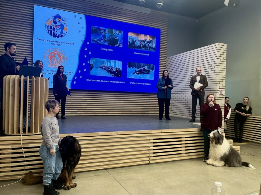 Стартапы в РАНХиГС