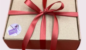 Подарок на Новый год.