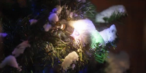 Украшенная елка в Барнауле.