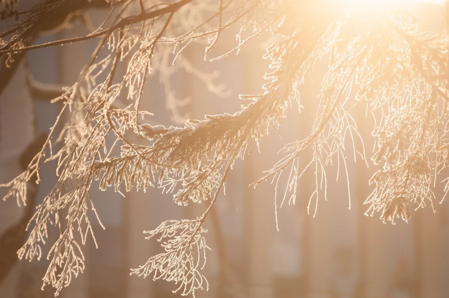 Зима в Барнауле. 
