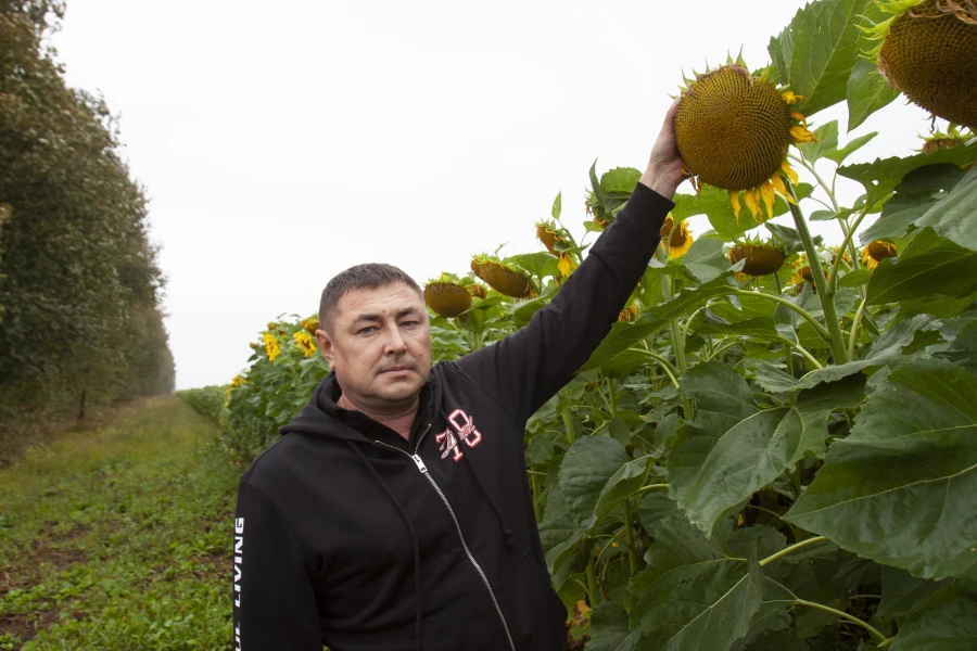 Урожай 2024 года.