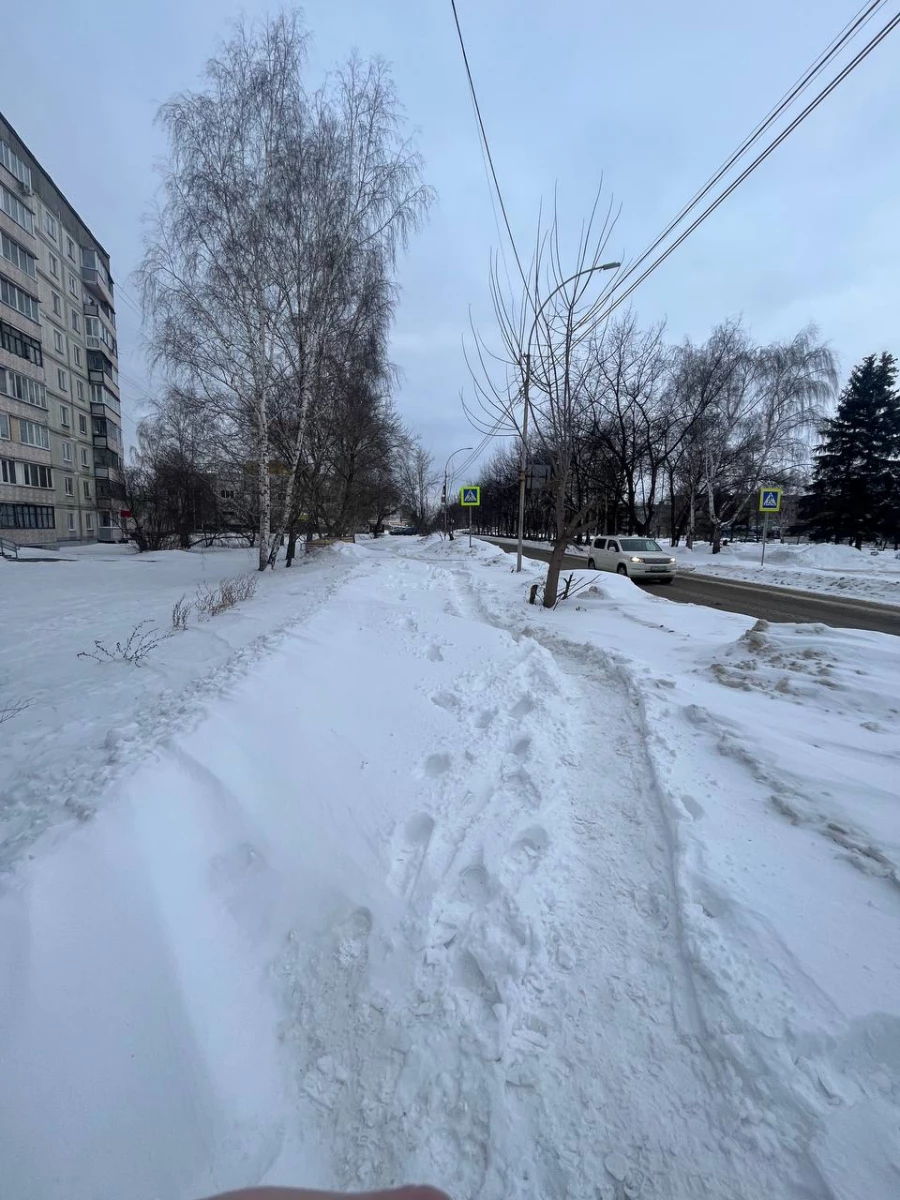 Бийчане утопают в снегу на дорогах