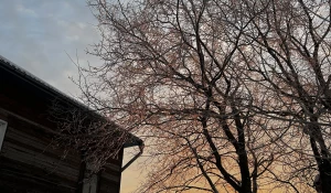 Рассвет в Барнауле, 14 января 2025. 