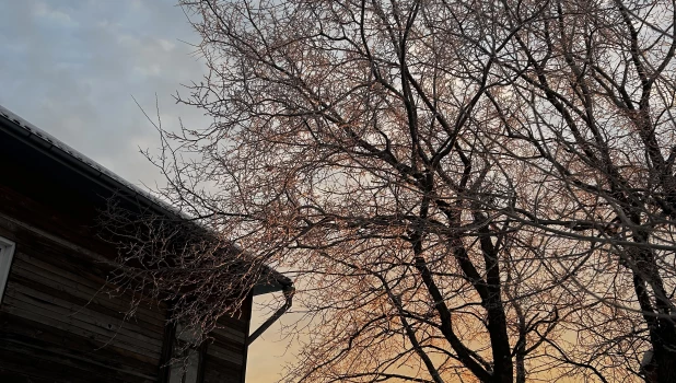 Рассвет в Барнауле, 14 января 2025. 