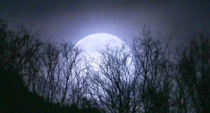 Полнолуние, январь 2025. 