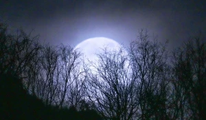 Полнолуние, январь 2025. 