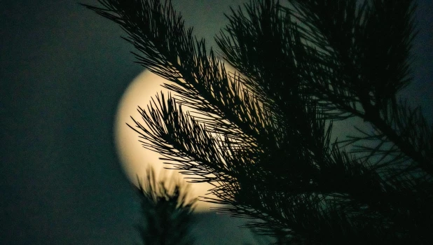 Полнолуние, январь 2025. 