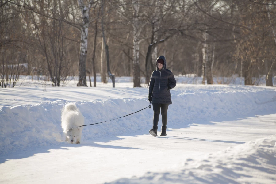Парк им. Ленина, Барнаул.