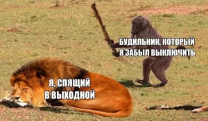 Самые отдохнувшие мемы про выходные. Подборка