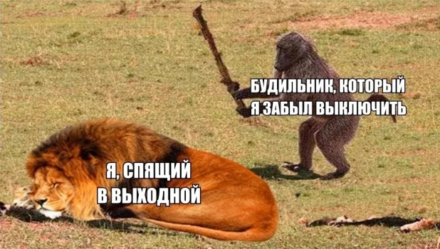 Самые отдохнувшие мемы про выходные. Подборка