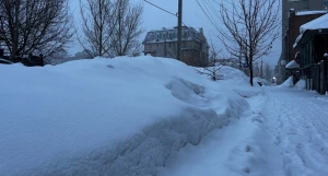 Мокрый снегопад в Барнауле.