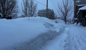 Мокрый снегопад в Барнауле.