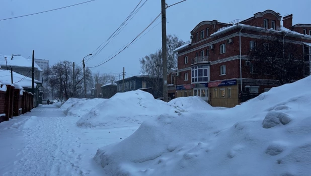 Мокрый снегопад в Барнауле.