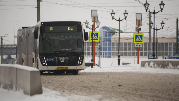 Автобусы зимой, общественный транспорт. 
