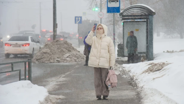 Метель в Барнауле, 2025 год.